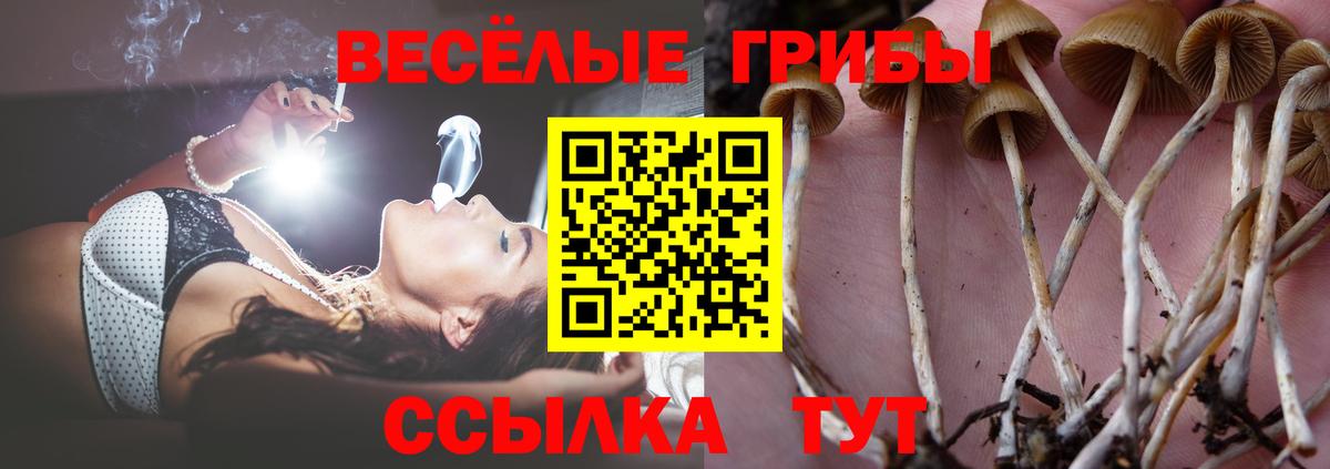 Псилоцибиновые грибы MAGIC MUSHROOMS  Вход с VPN  Учалы 
